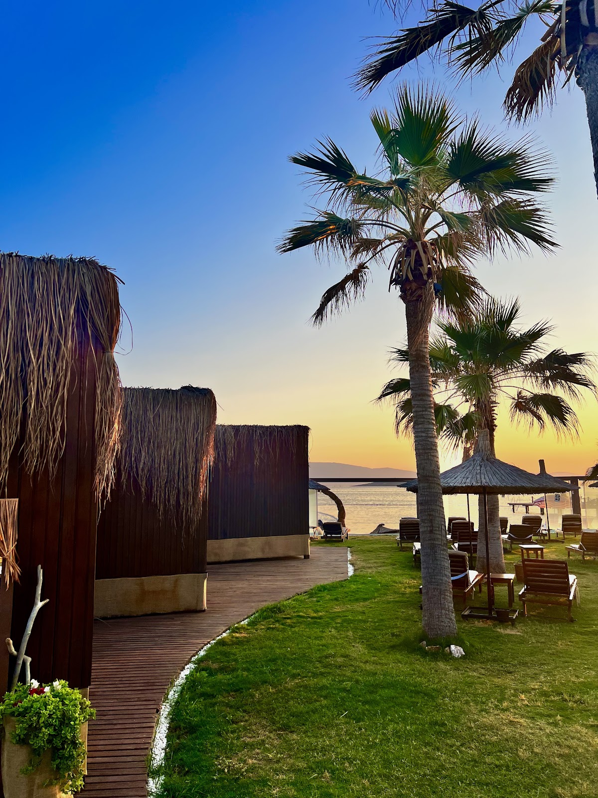 Cunda — Anda Beach Bistro Rooms - Namık Kemal Cunda Butik Otel — galeri