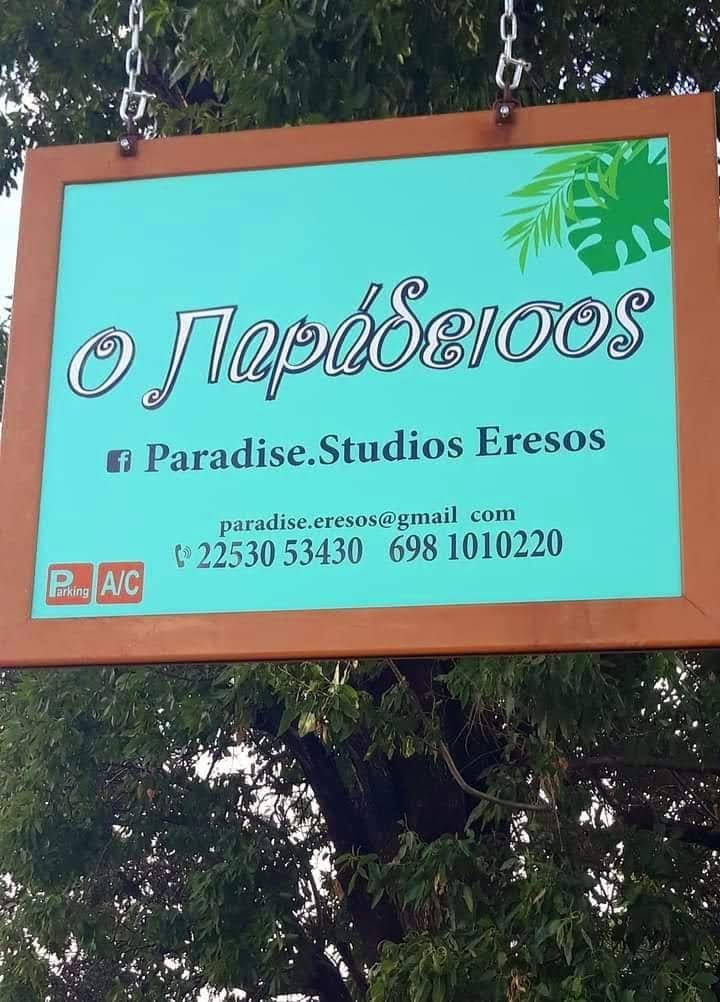 Lesbos — Paradise Studios Eressos — gallery