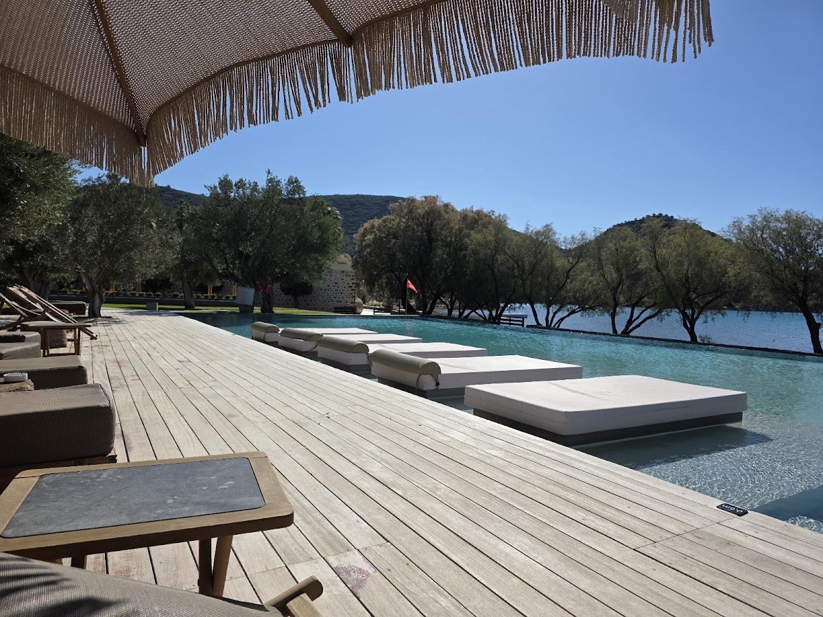 Lesbos — Elia Kai Thalassa — gallery
