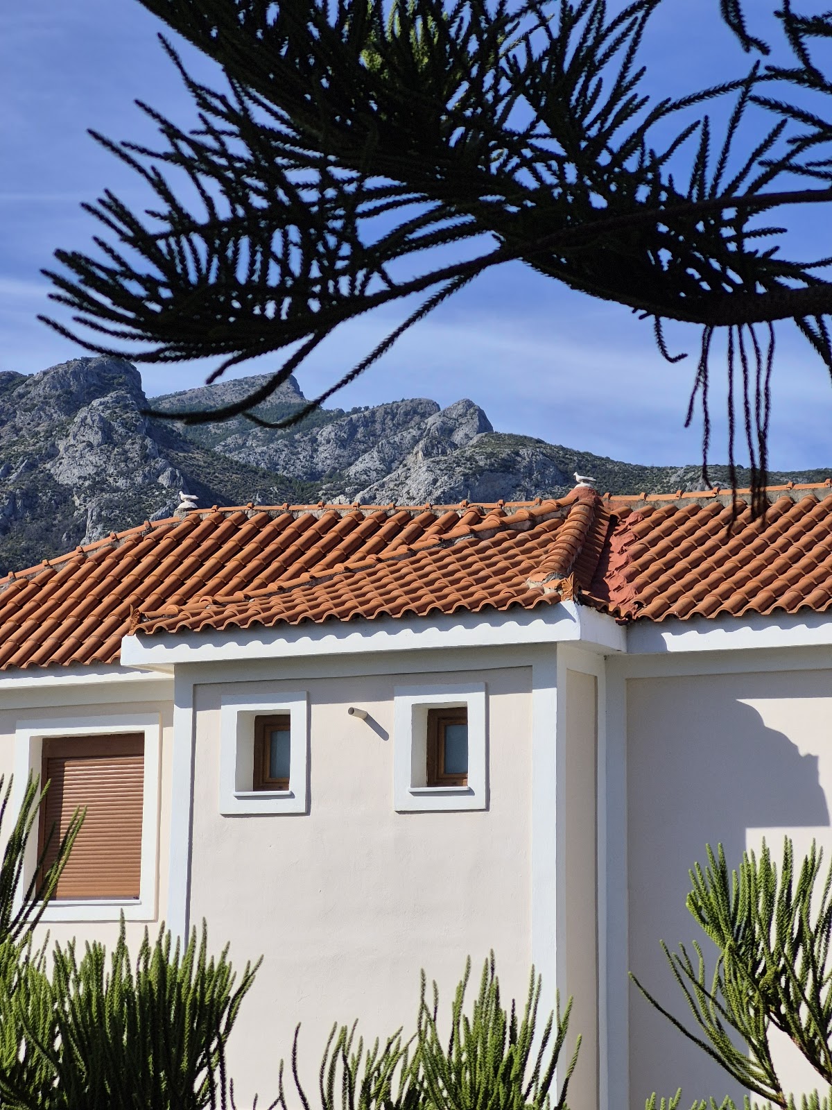 Samos — Kalidon Beach Hotel — galeri