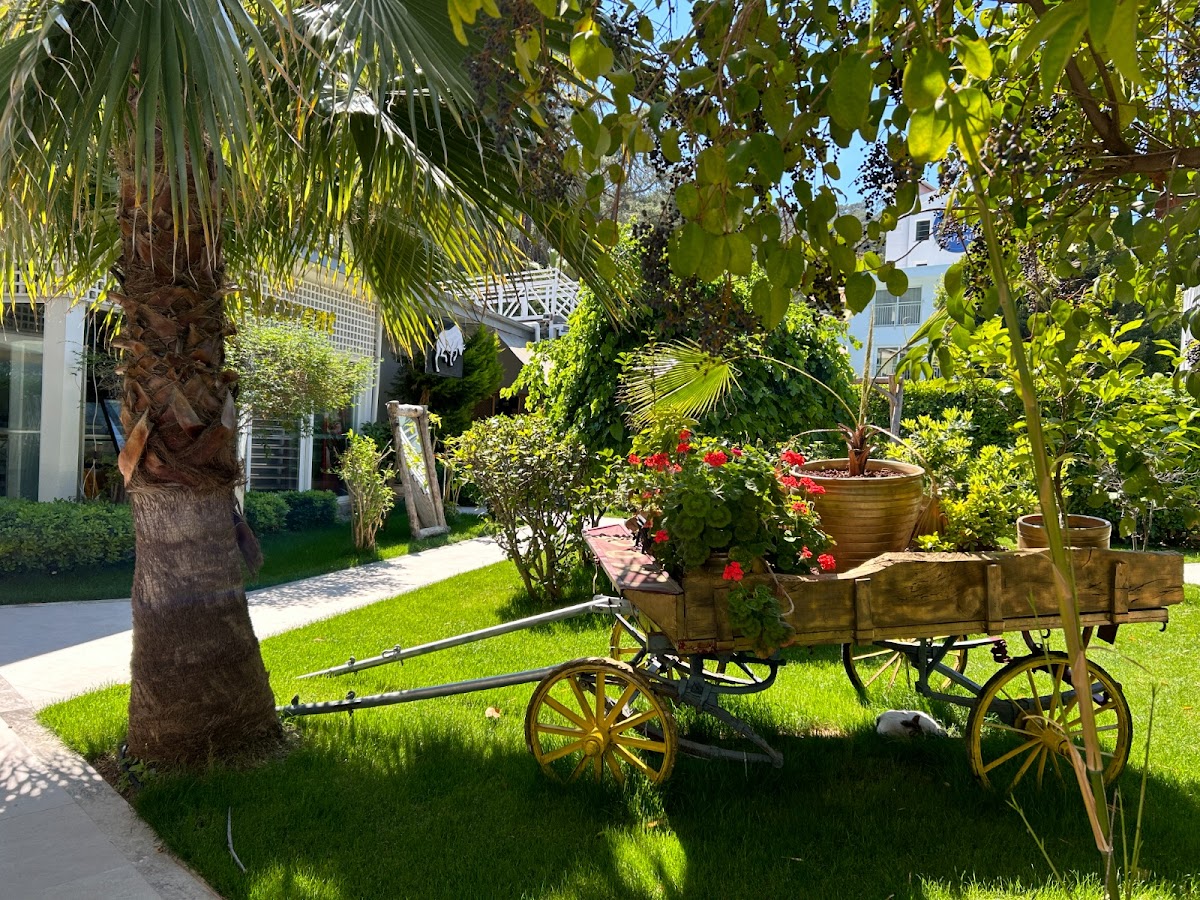 Fethiye — Marina Boutique Hotel — gallery