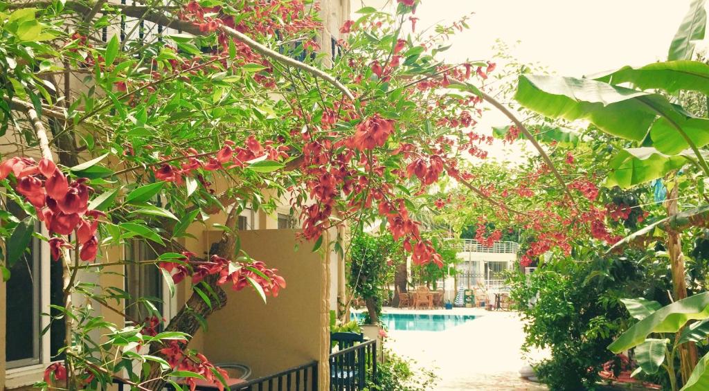 Fethiye — Dove Apart Hotel — gallery