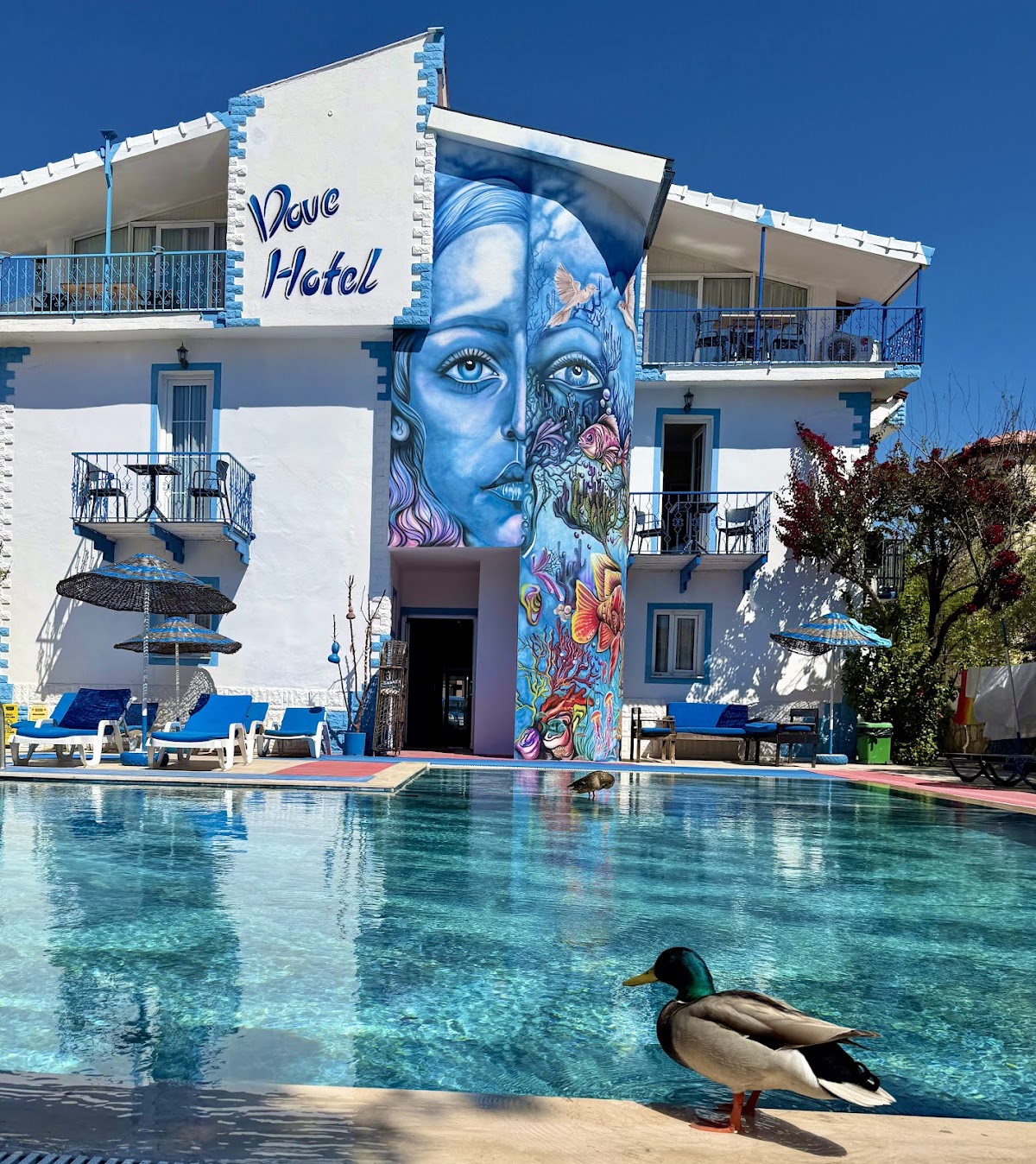 Fethiye — Dove Apart Hotel — gallery