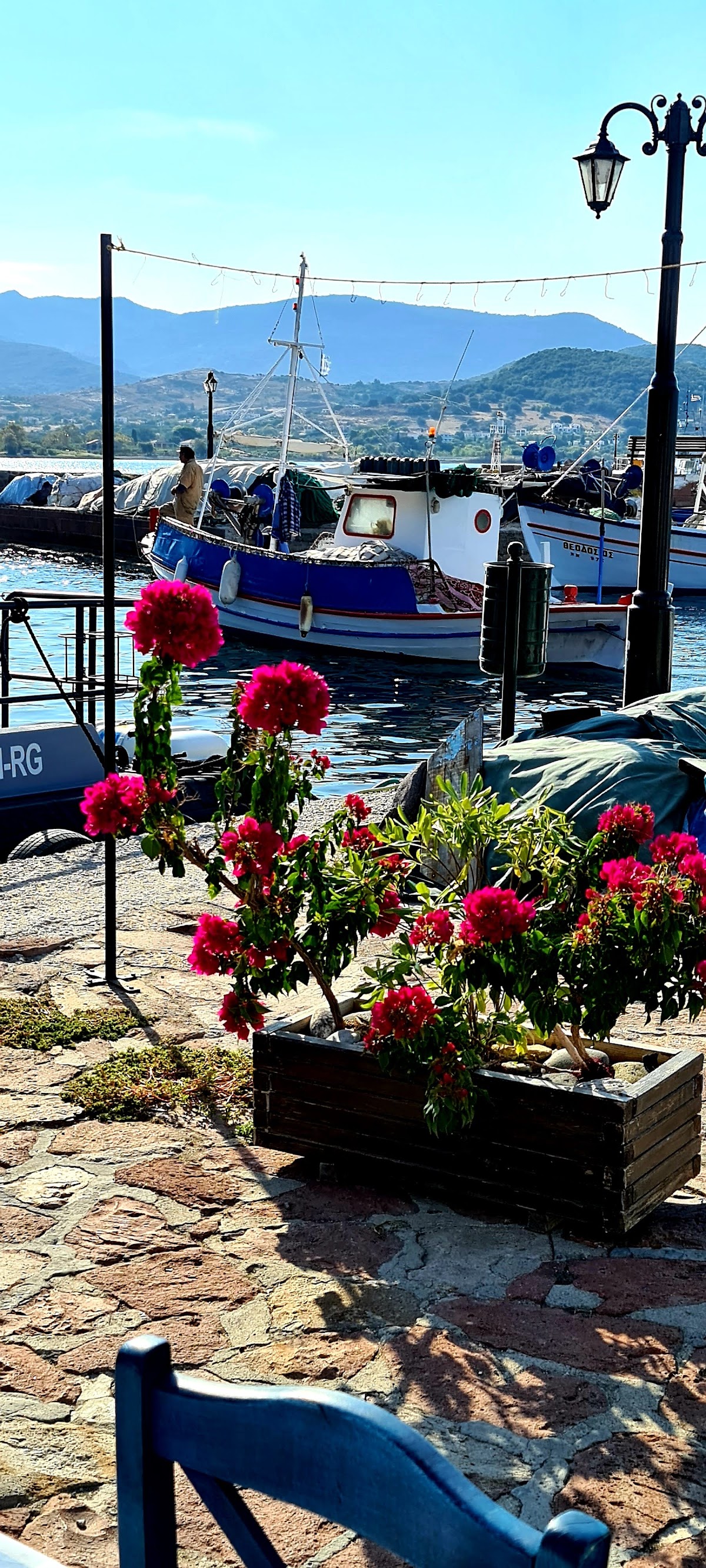 Lesvos — Sea Horse Hotel — gallery