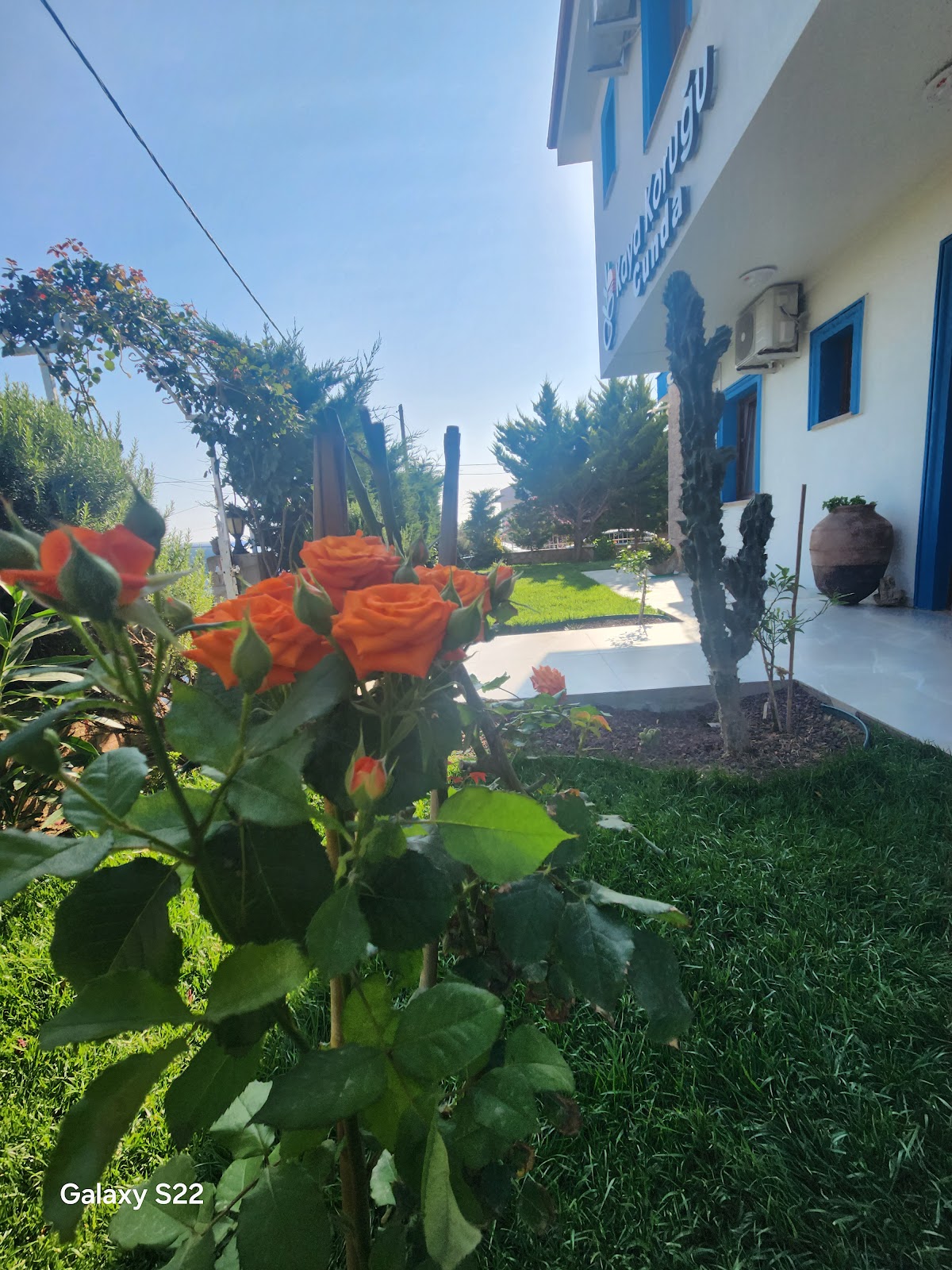 Cunda — Kaya Korugu Cunda - Ayvalık Namık Kemal Butik Otel — galeri