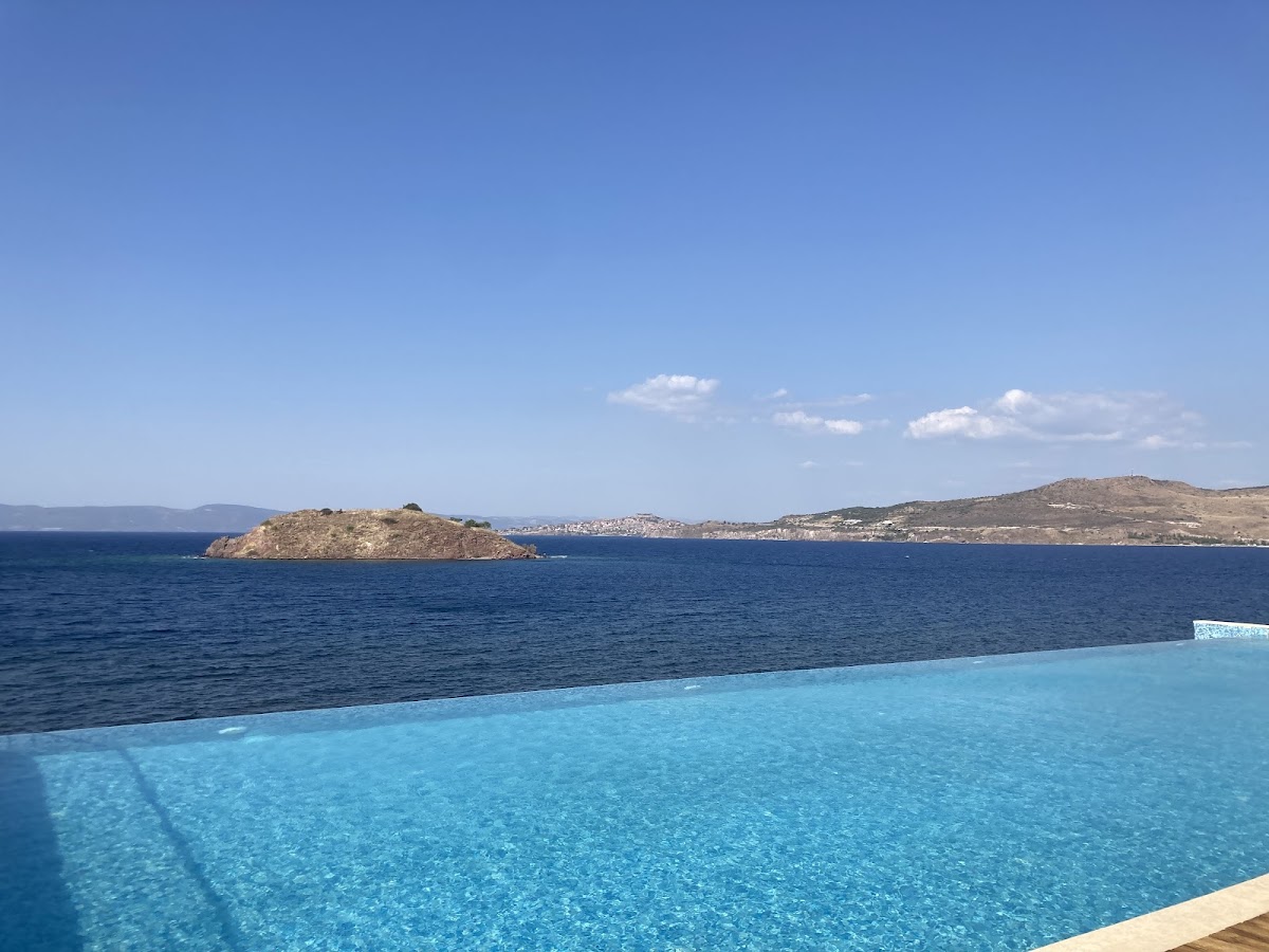 Lesvos — Little Bird Lesvos — gallery