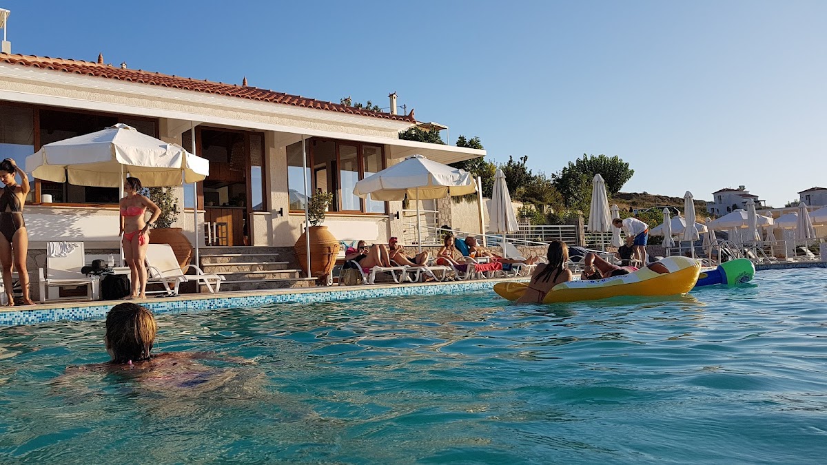 Lesvos — Little Bird Lesvos — gallery