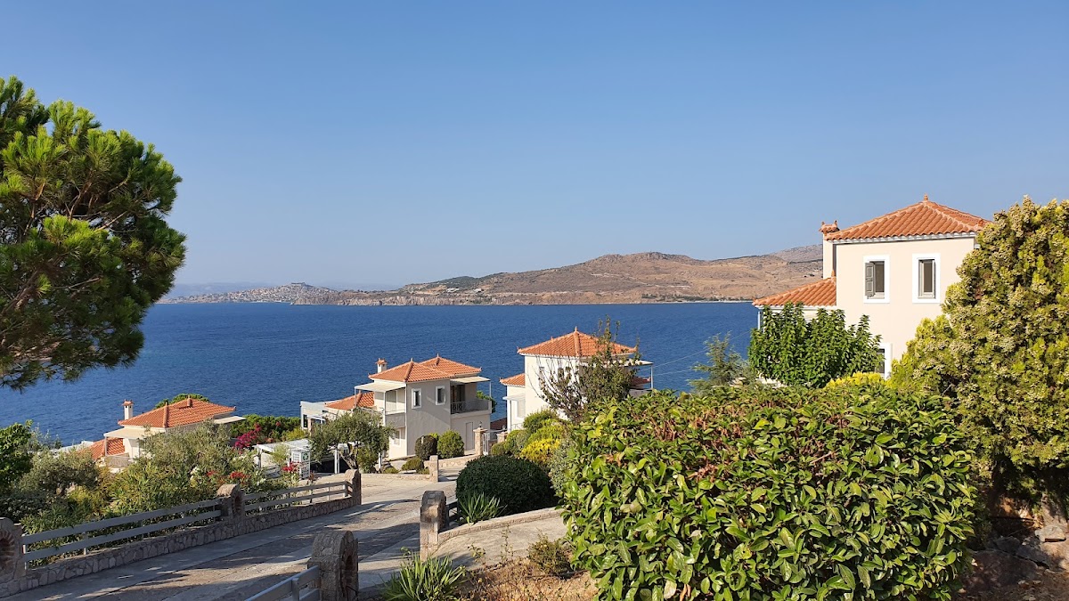 Lesvos — Little Bird Lesvos — gallery