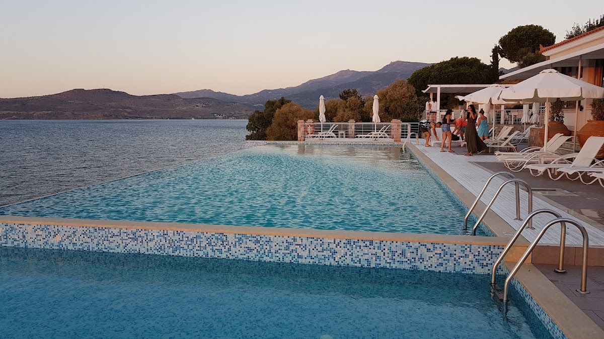 Lesvos — Little Bird Lesvos — gallery