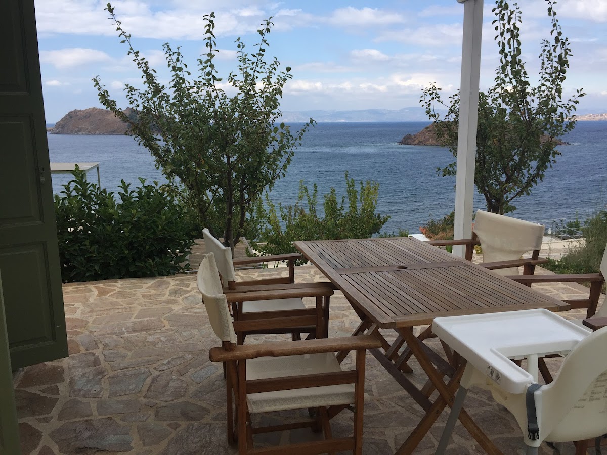 Lesvos — Little Bird Lesvos — gallery