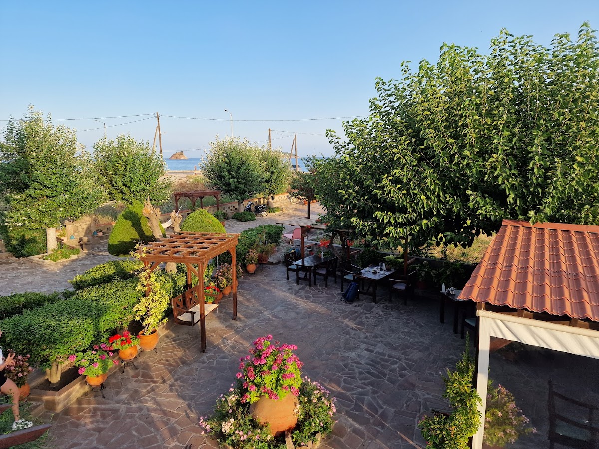 Lesvos — Miramare Studios — galeri