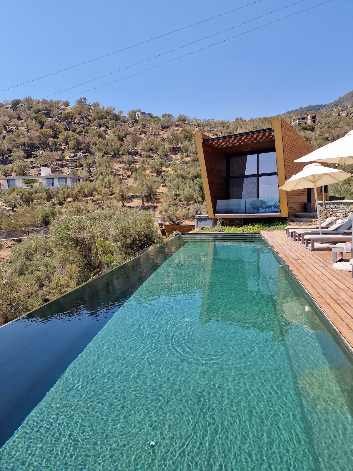 Lesvos — Five Olive Dream Trip — gallery