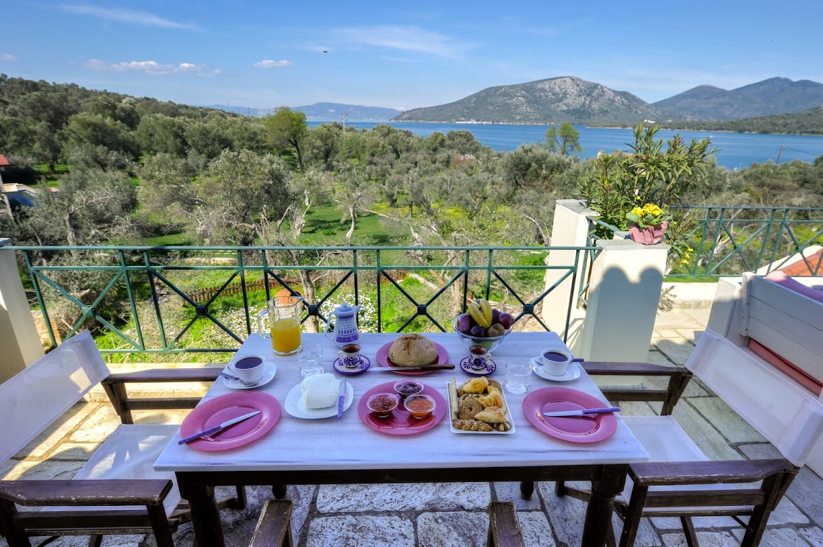 Lesvos — Gera S Olive Grove — gallery