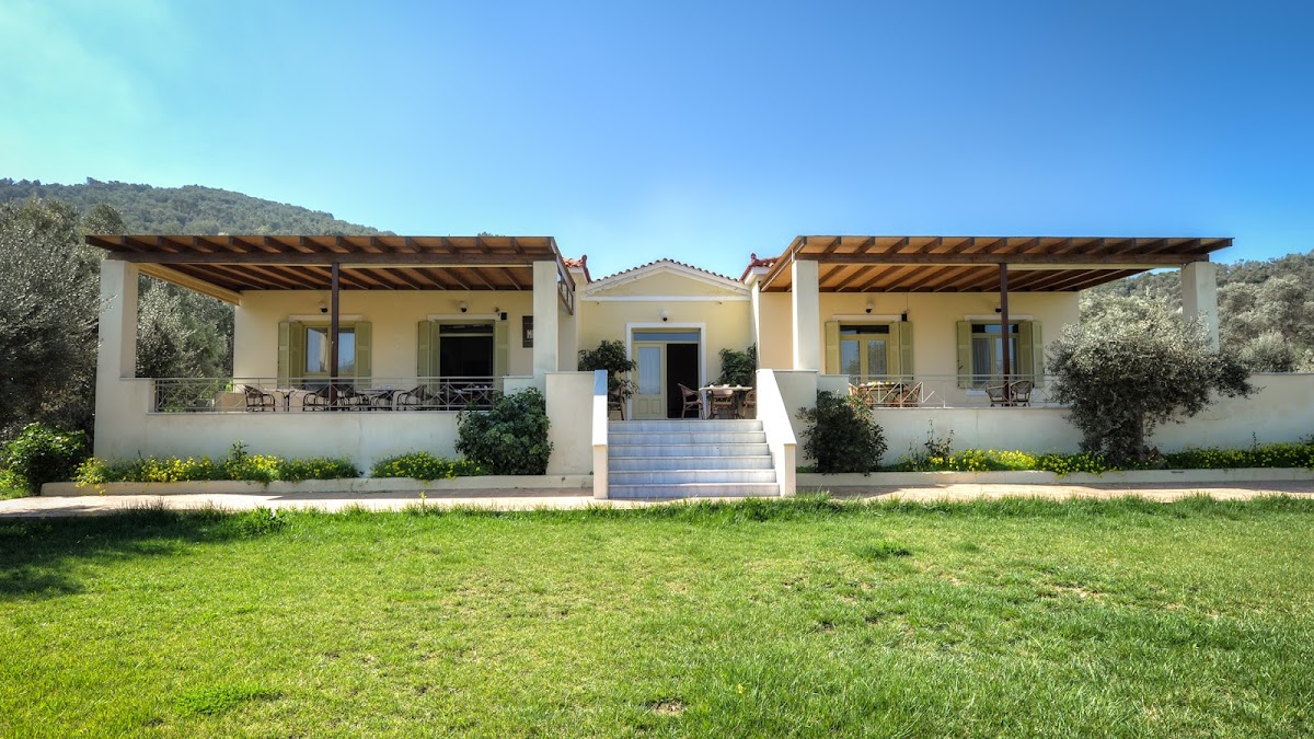 Lesvos — Gera S Olive Grove — gallery