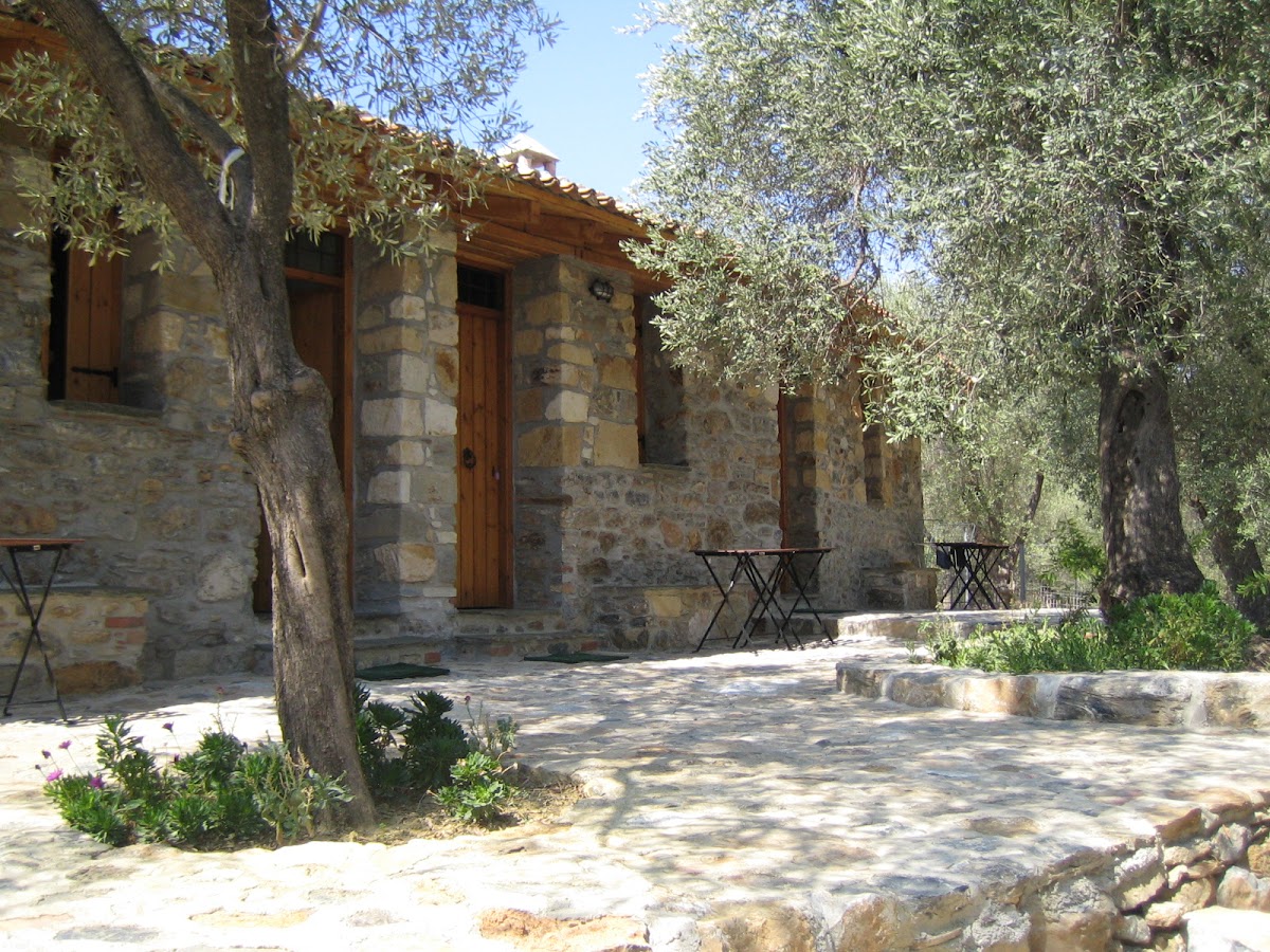Lesvos — Gera S Olive Grove — gallery