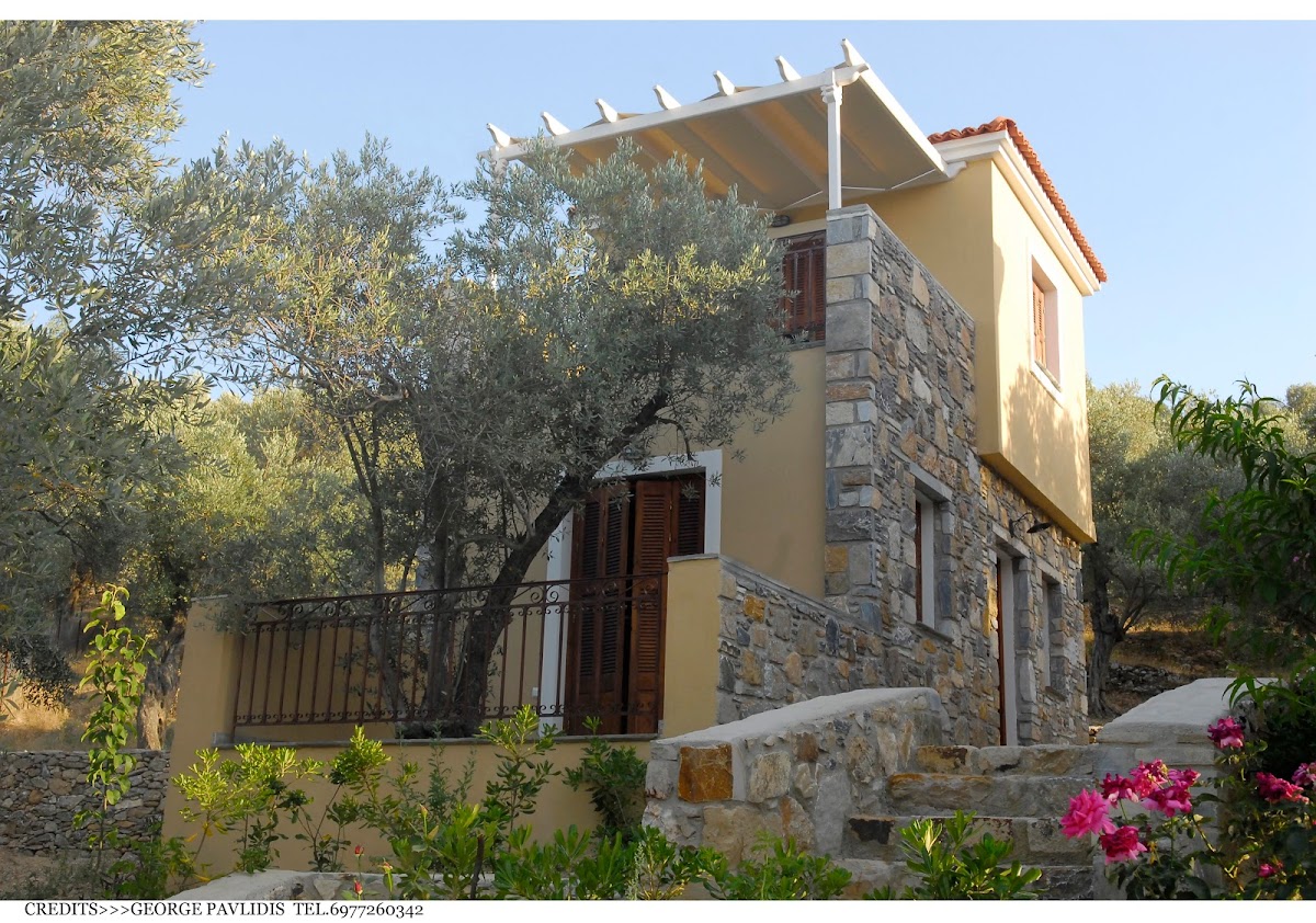 Lesvos — Gera S Olive Grove — gallery