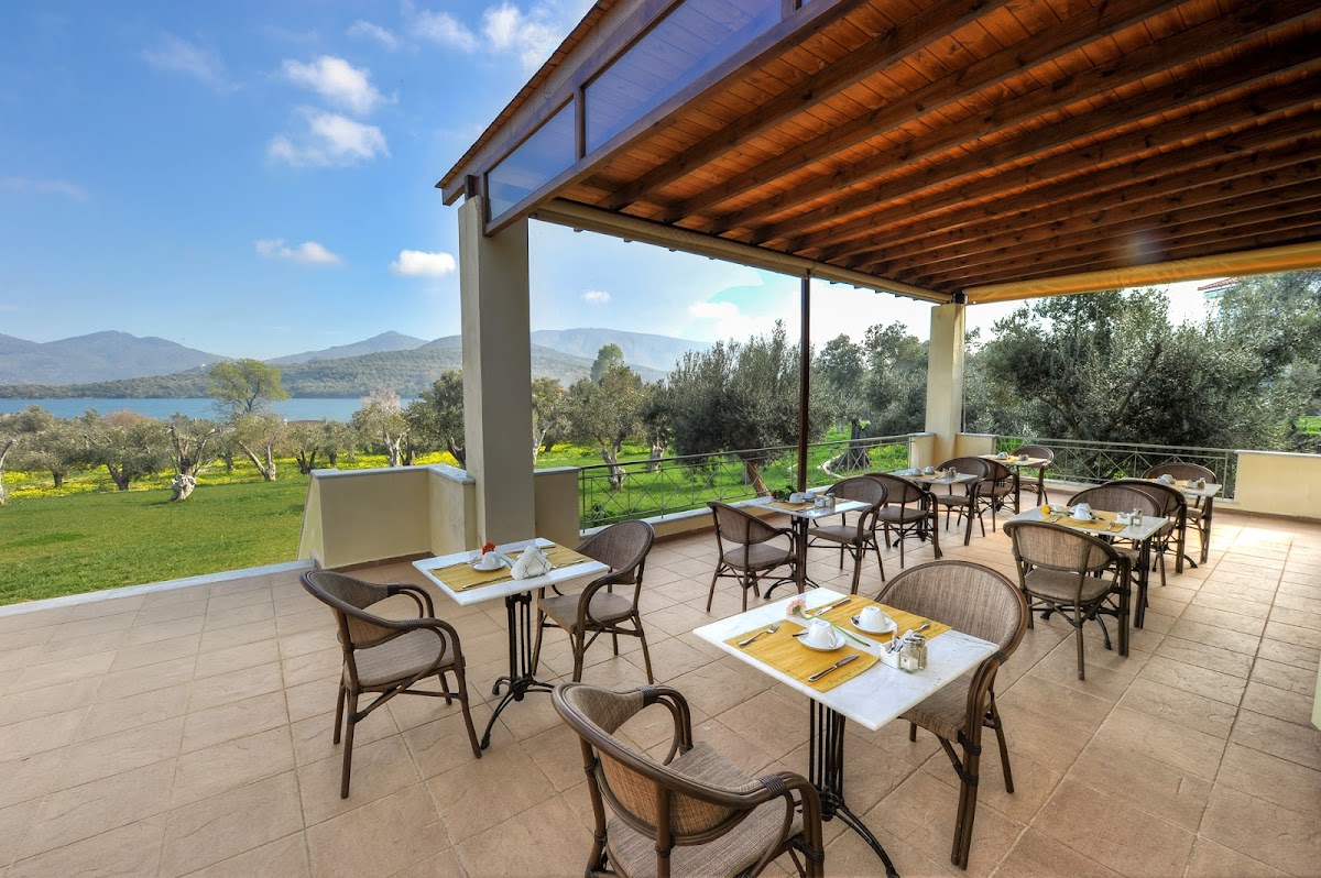 Lesvos — Gera S Olive Grove — gallery