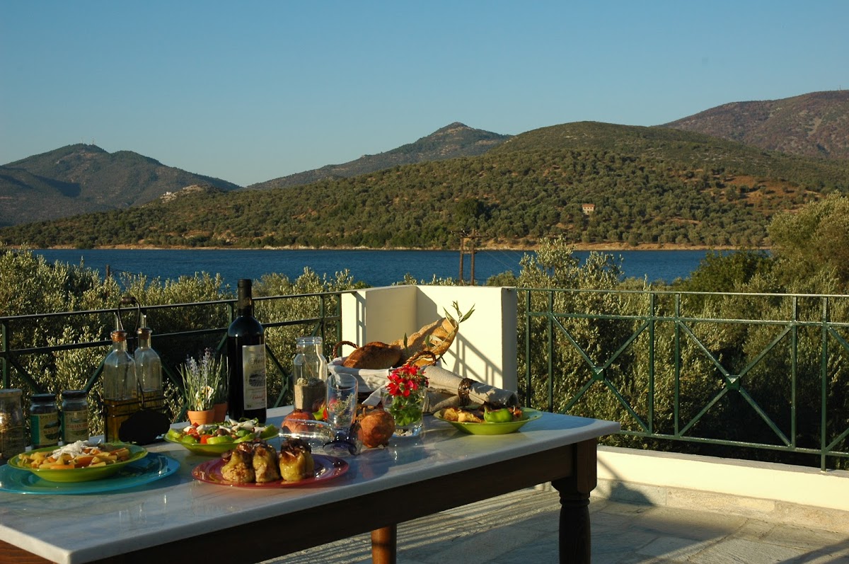 Lesvos — Gera S Olive Grove — gallery