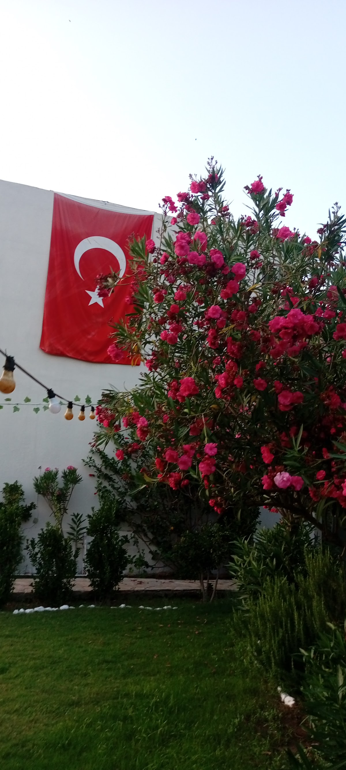 Marmaris — Jardin Butik Otel — gallery
