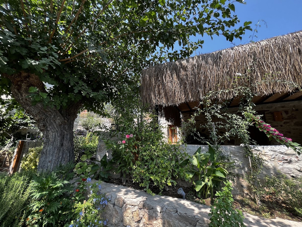 Datça — Ultava Houses Garden 16 — gallery