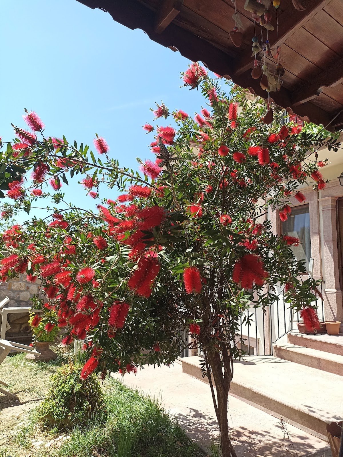 Ayvalık — Hayriye Hanim Ege Otel — gallery