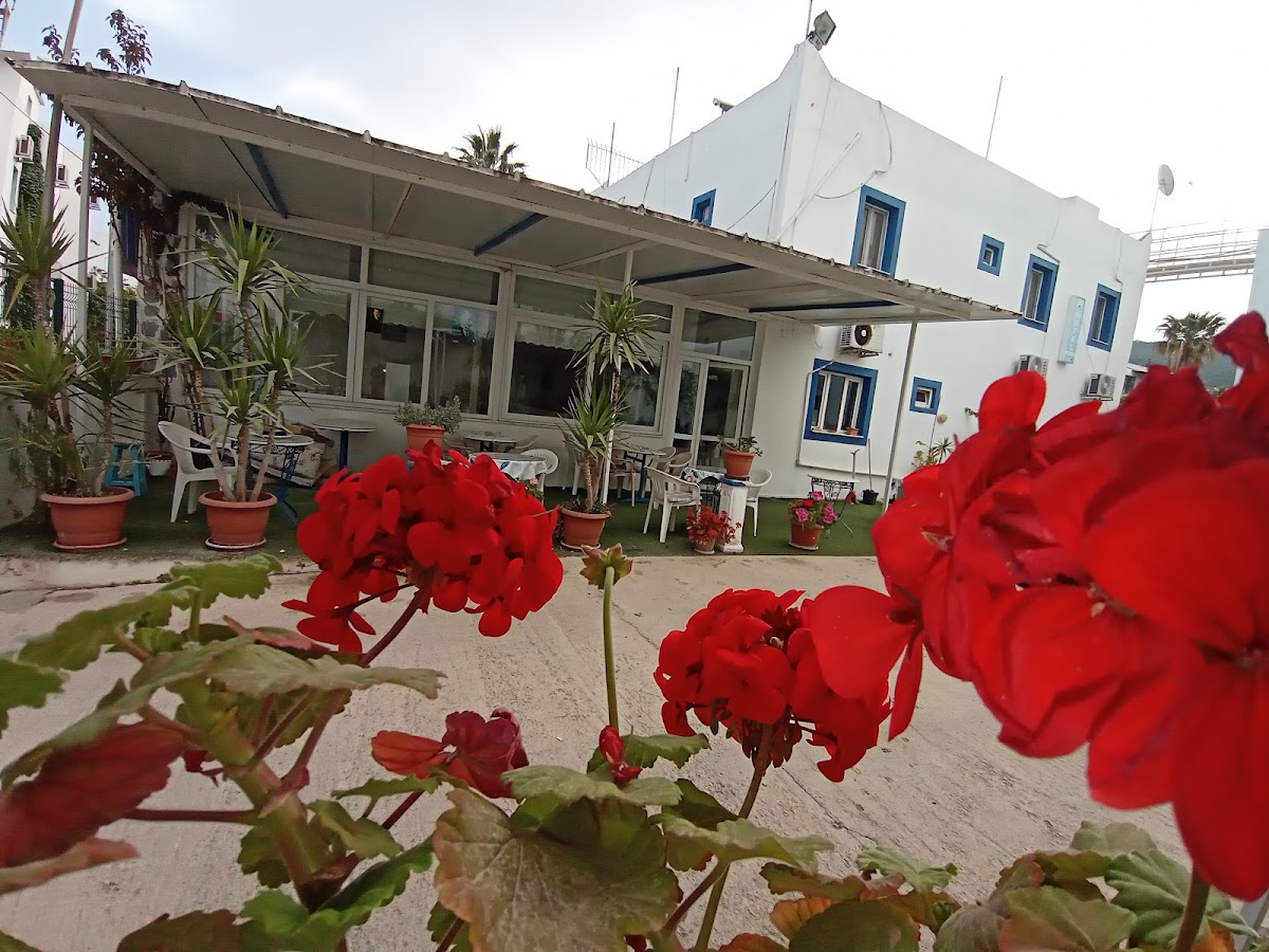 Bodrum — Bodrum Pay Otel En Iyi Bodrum Oteli En Uygun Bodrum Butik Oteli — gallery