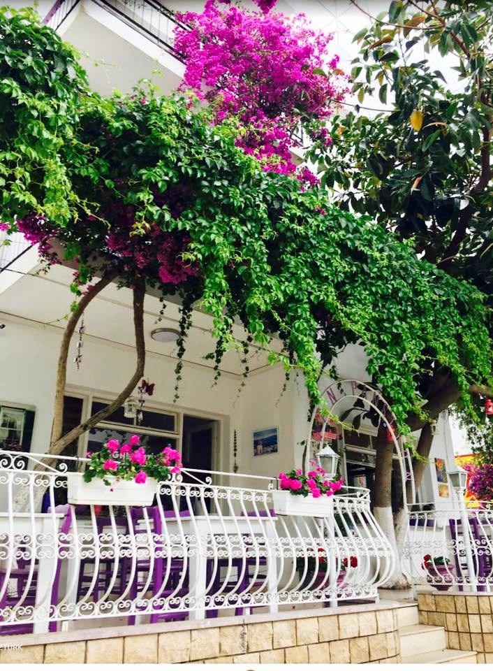 Bodrum — Agan Pansiyon — gallery