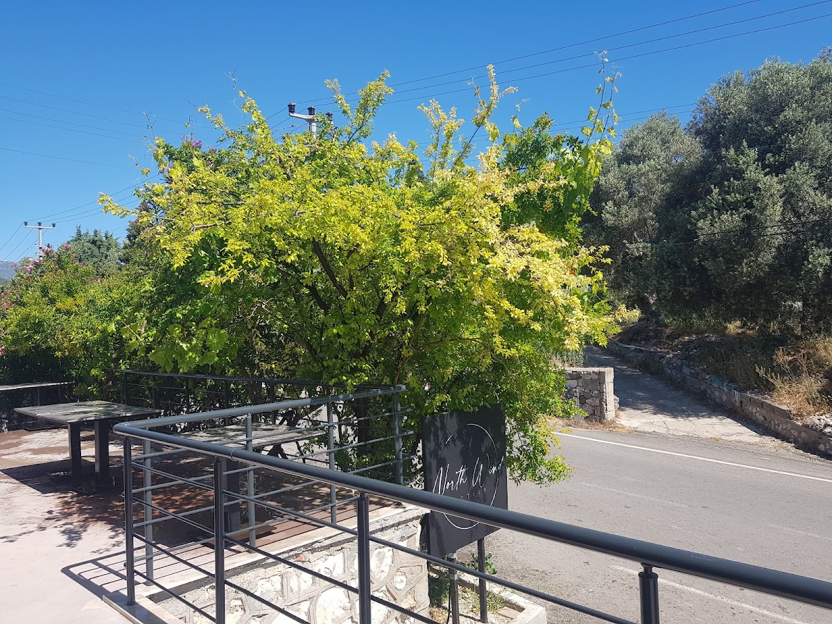 Karaburun — North Wind Hotels Karaburun — gallery