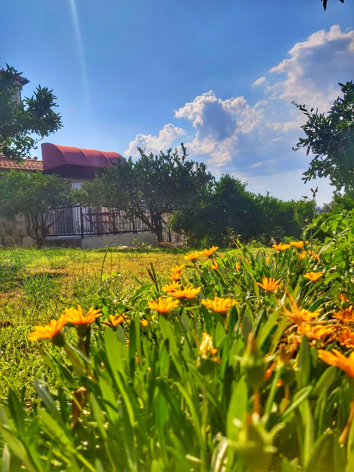 Urla — Satsuma Butik Otel — galeri