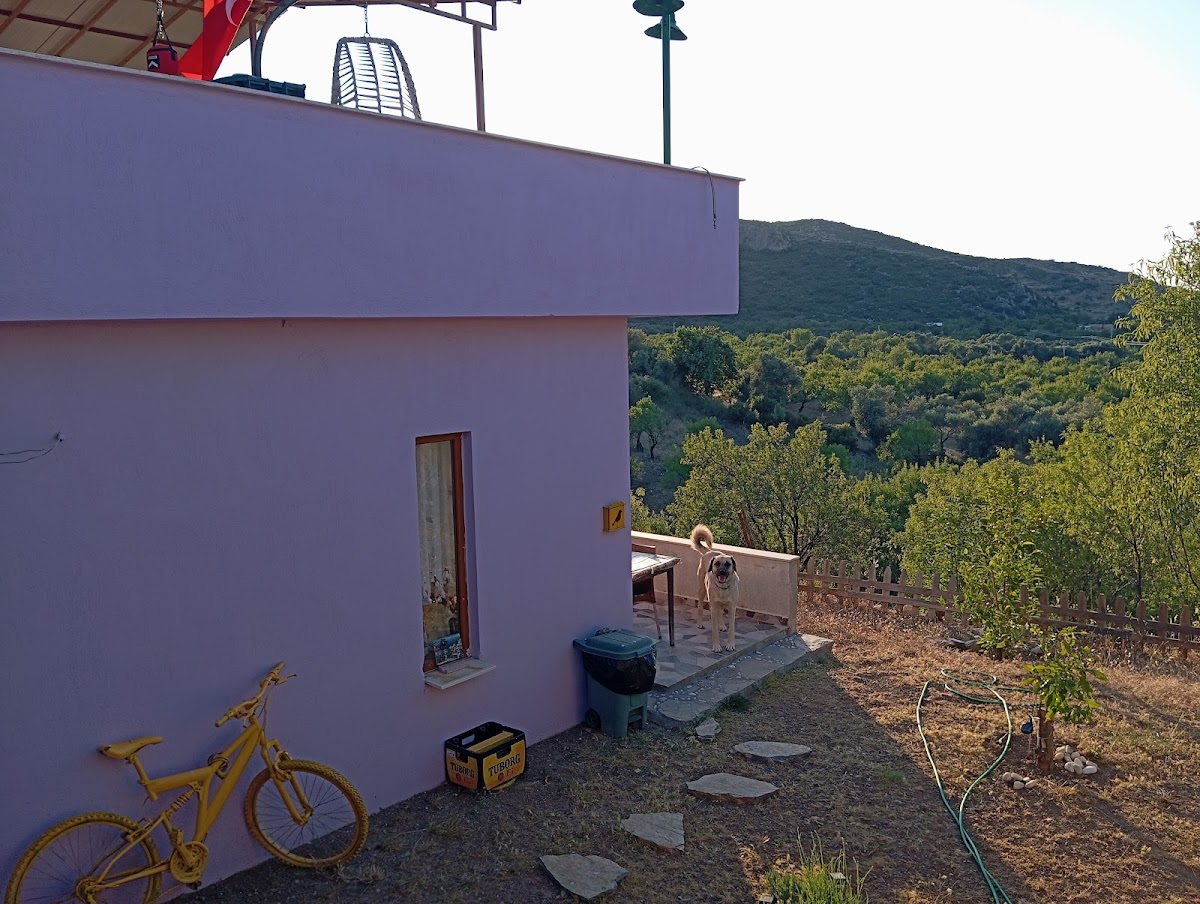Datça — W Antic Cafe Rest Otel — gallery