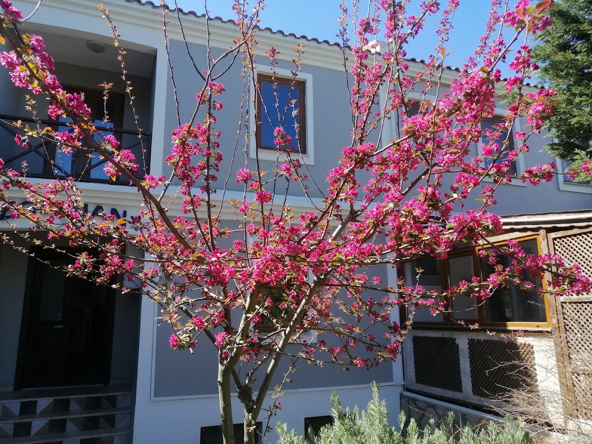 Bozcaada — Ege Han Butik Otel Aegea Inn — gallery