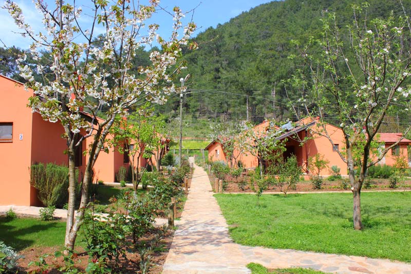 Göcek — Gocek Dalya Life — gallery