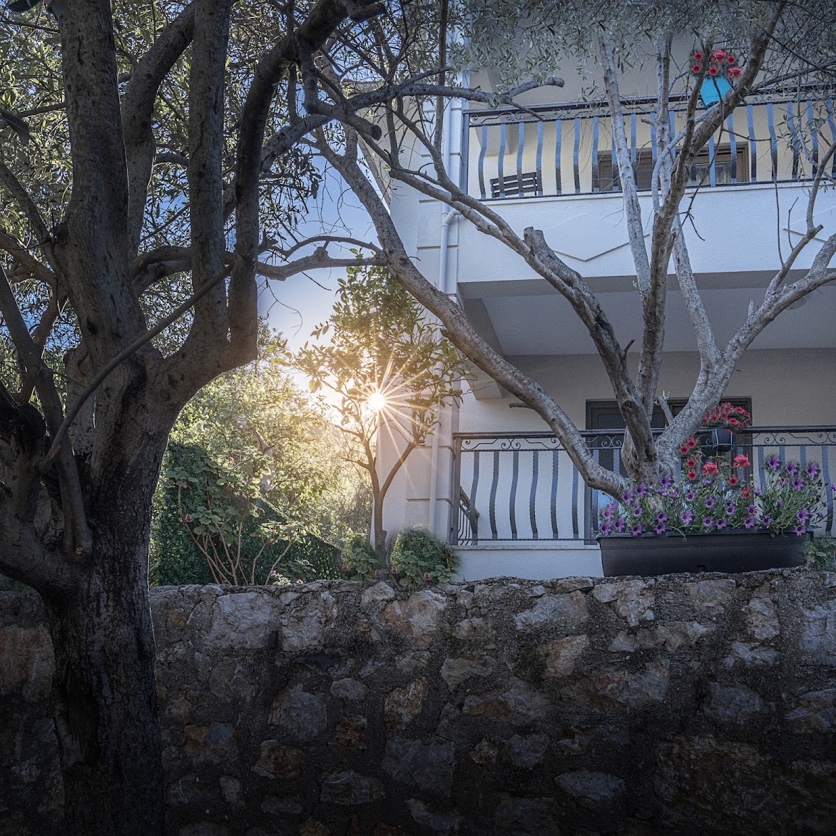 Selimiye   Marmaris — Selimiye 9 Oda — galeri