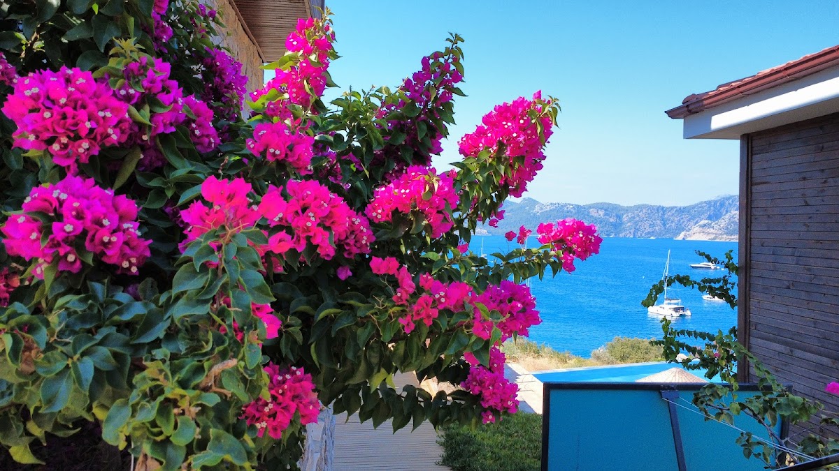 Selimiye Muğla — Alice Tatil Evi — galeri