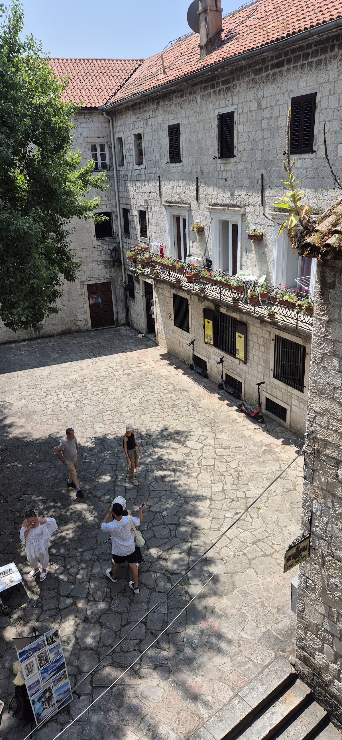 Kotor — Tetka Guest House — galeri