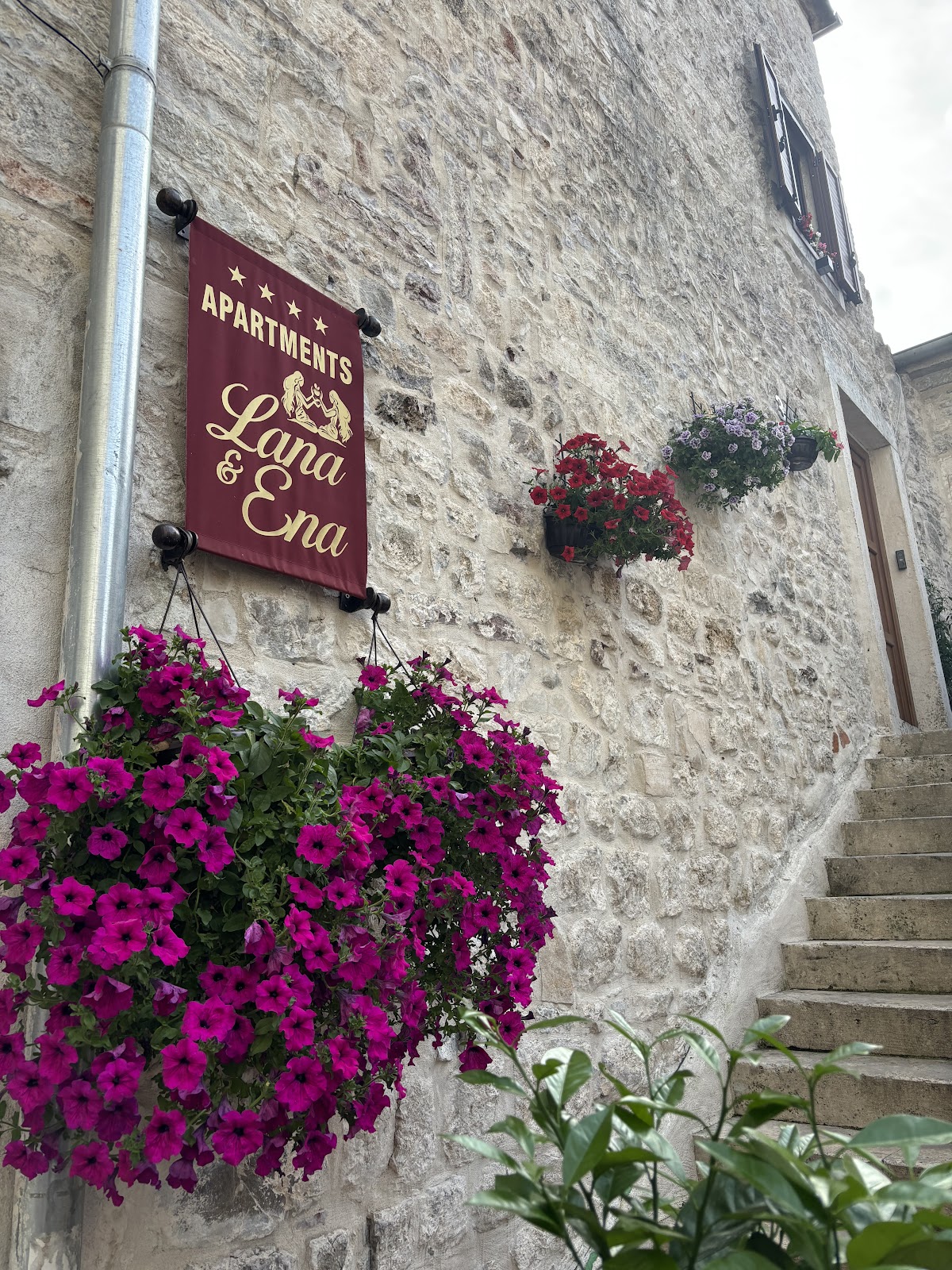 Kotor — Lana Ena Apartments — gallery