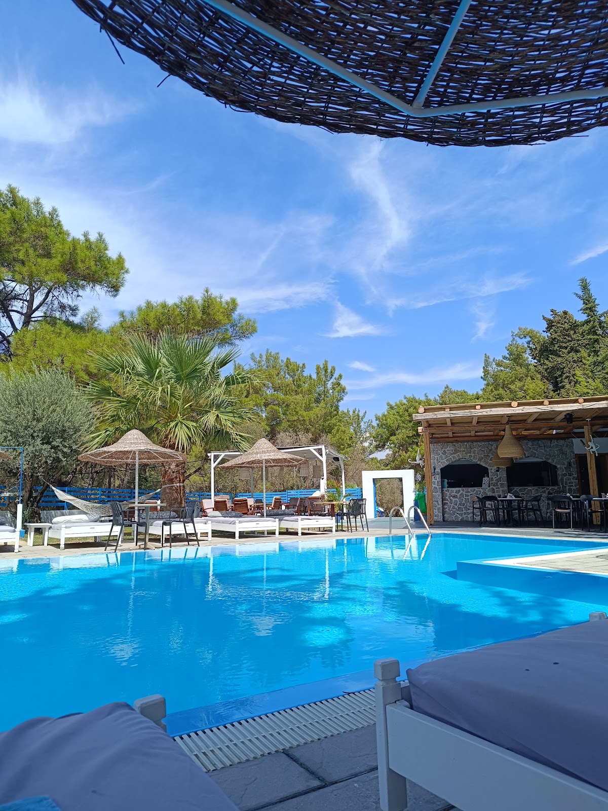 Rhodos — Trees Boutique Art Hotel — gallery