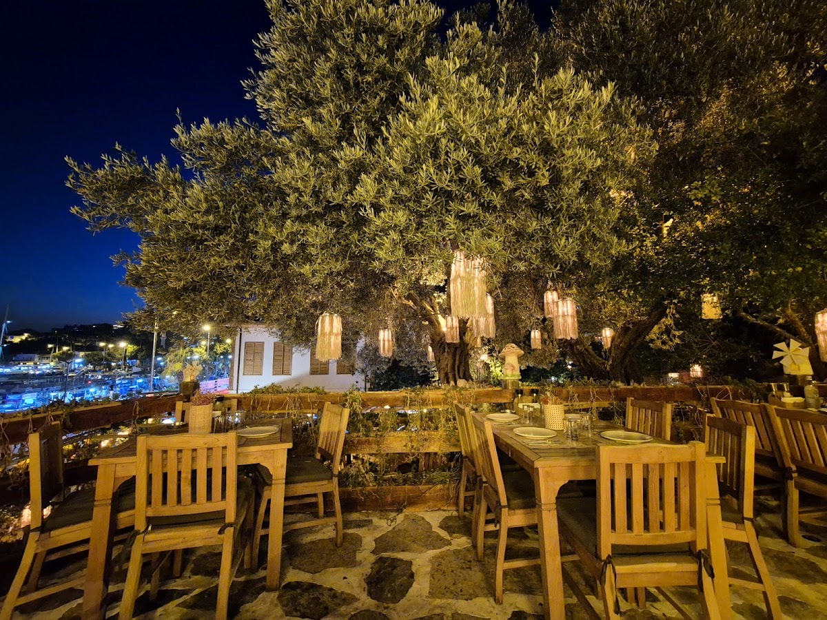 Kaş — Ehlikeyf Meyhane Kas - Kaş'ın Sevilen Meyhanesi — galeri