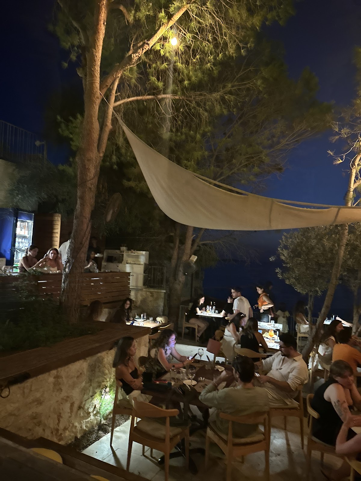 Kaş — Oburus Momus — galeri