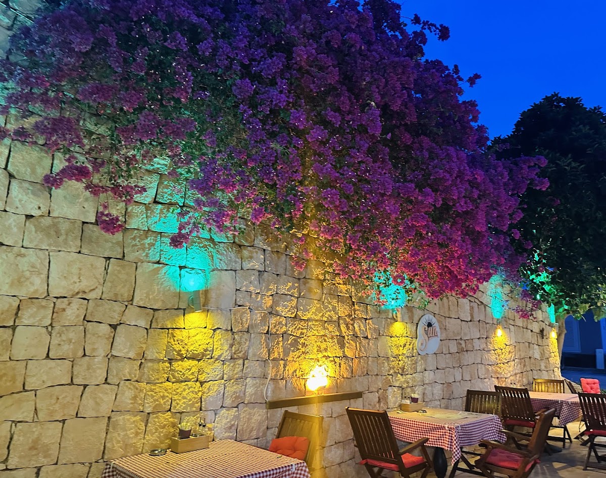 Kaş — Kas Arena Restaurant Breakfast Coffee Bistro — galeri