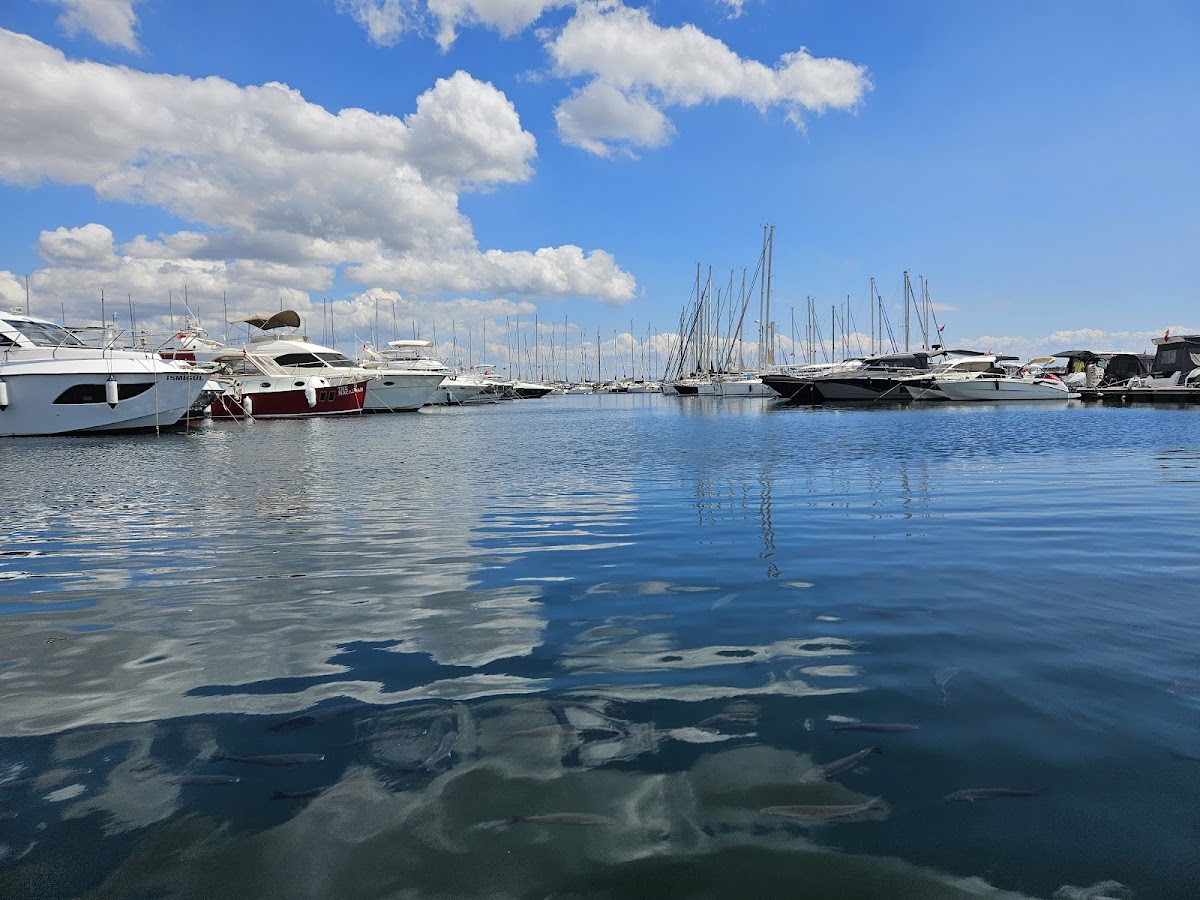 Alaçatı — Alacati Istanbul Pendik Marina Avm — galeri