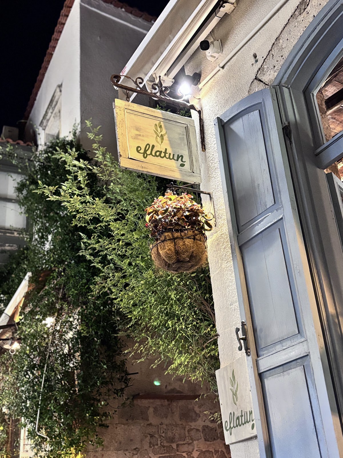 Alaçatı — Eflatun Alacati — galeri