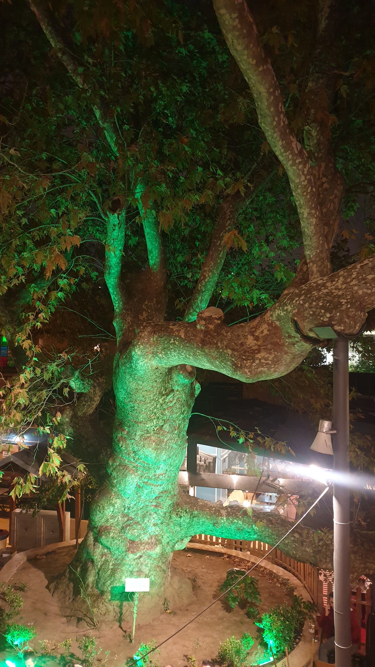Çeşme — Cesme Restaurant Cafe — gallery