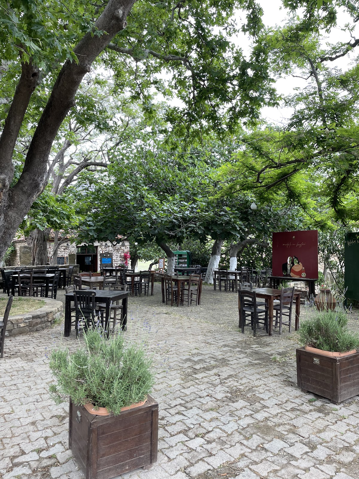 Gökçeada — Mustafa Nin Kayfesi — gallery