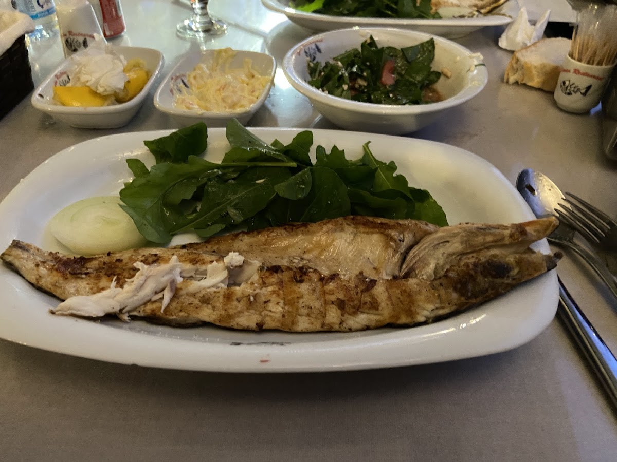 Ağva — Agva Liman Restaurant — galeri