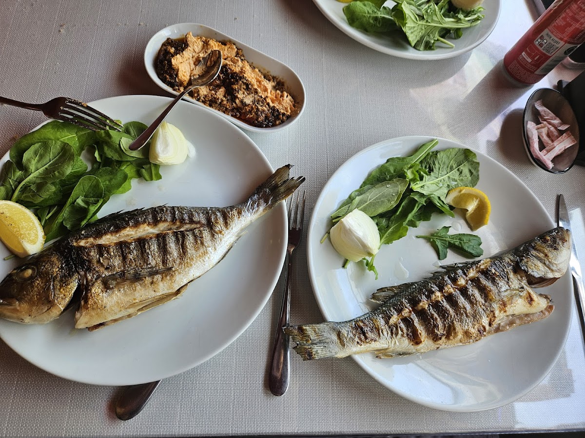 Ağva — Rihtim Restaurant — galeri