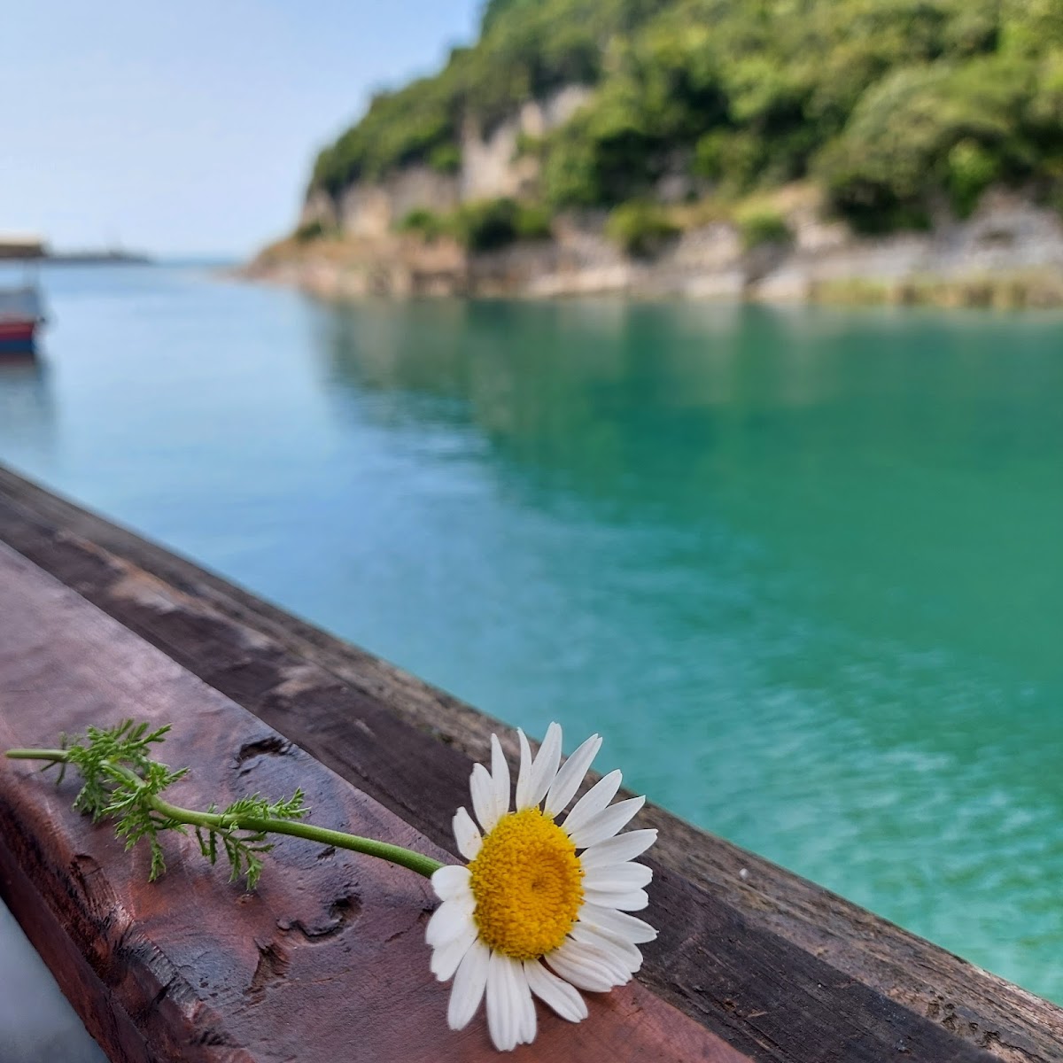 Ağva — Rihtim Restaurant — galeri
