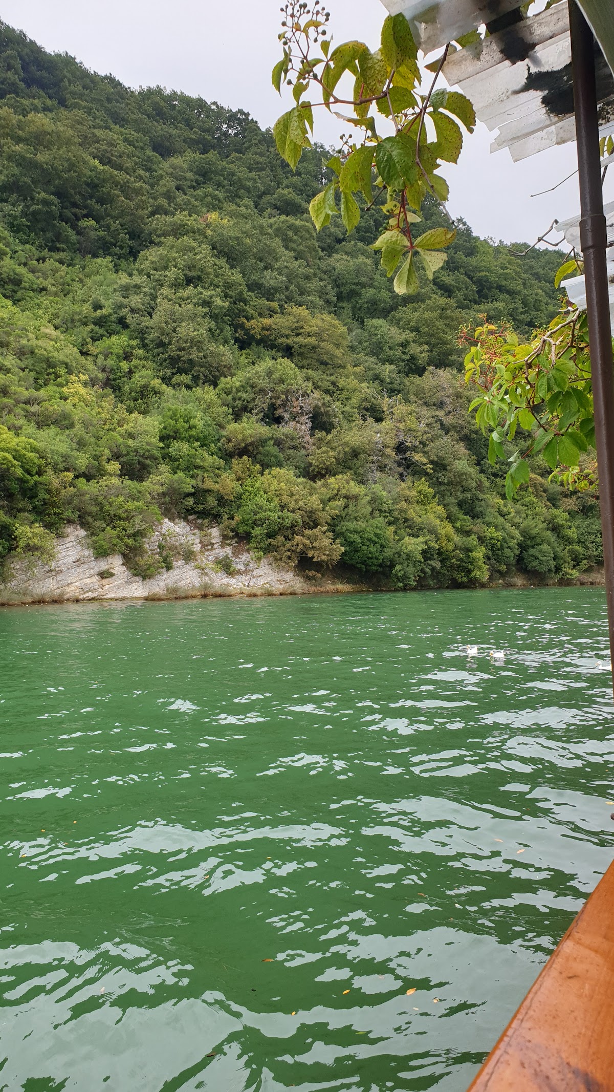 Ağva — Senol Restaurant Orhan Baba — galeri