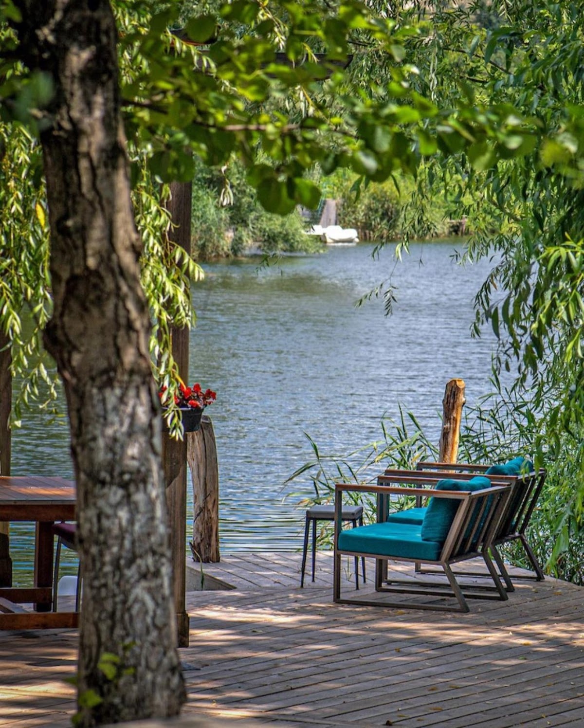 Ağva — Wineport Lodge Agva Agva Nin Prestijli Oteli — gallery