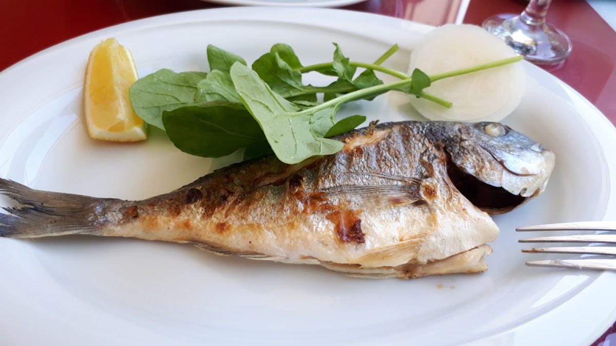 Ağva — Agva Bahce Cafe Restaurant — gallery